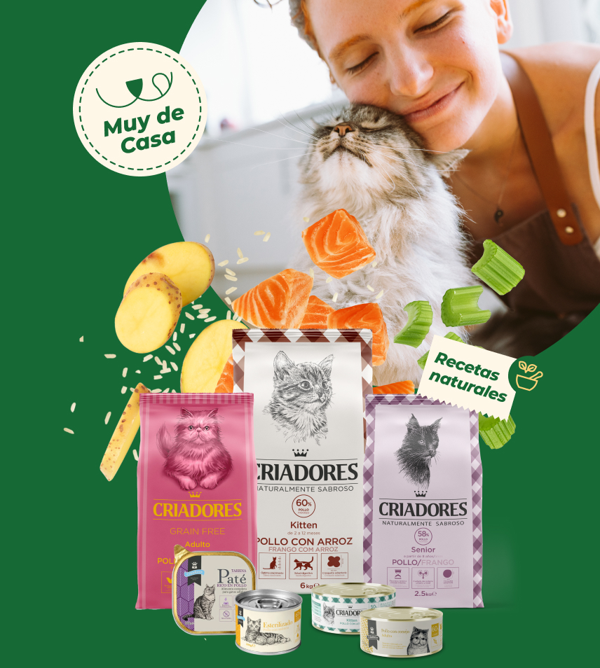 criadores-gato-banner-mv