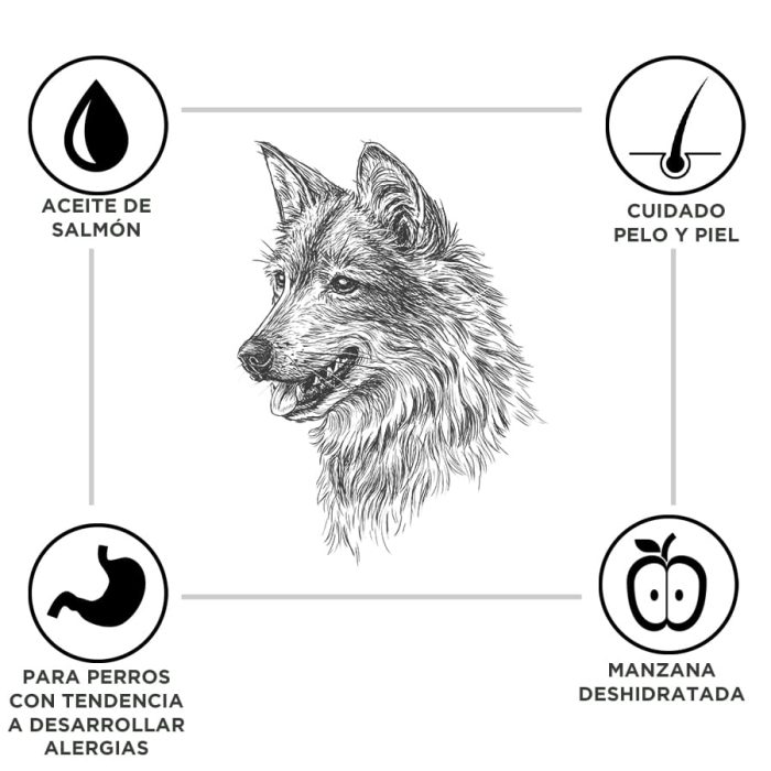 Criadores Adulto Cordero y Arroz pienso para perros de razas mediana y grande - Imagen 3