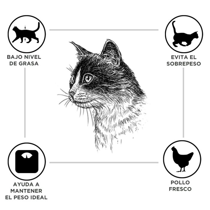 Criadores Adulto Esterilizado Pollo pienso para gatos - Imagen 2