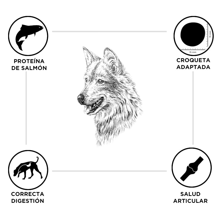 Criadores Adulto Salmón y Arroz pienso para perros de razas medianas y grandes
