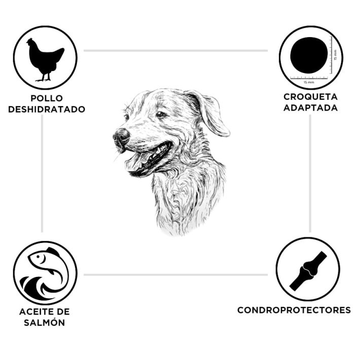 Criadores Pollo y Arroz pienso para cachorros de razas grandes - Imagen 2