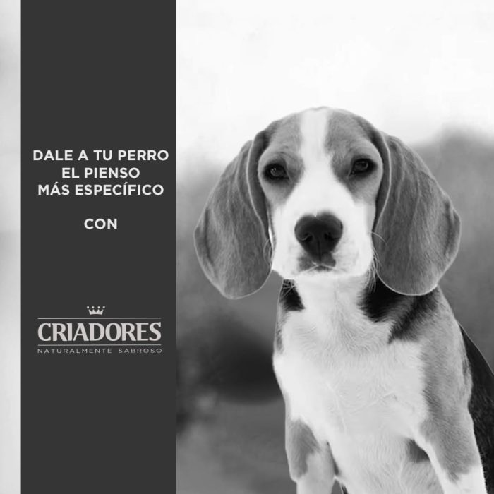Criadores Dietetic Adulto Obesity pienso para perros