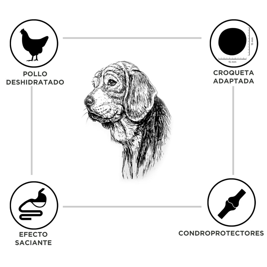 Criadores Adulto Light pienso para perros de raza grande y mediana