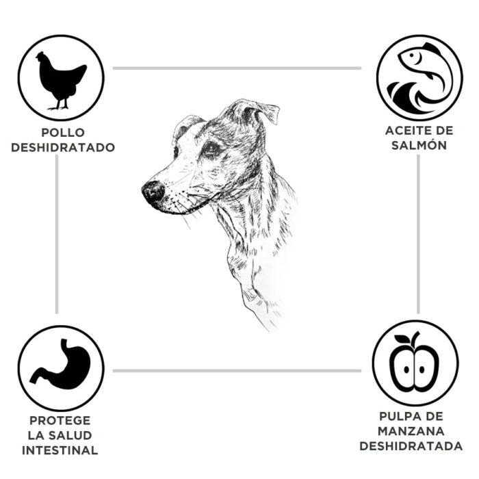 Criadores Adulto Frango e Arroz ração para cães porte médio - Image 3