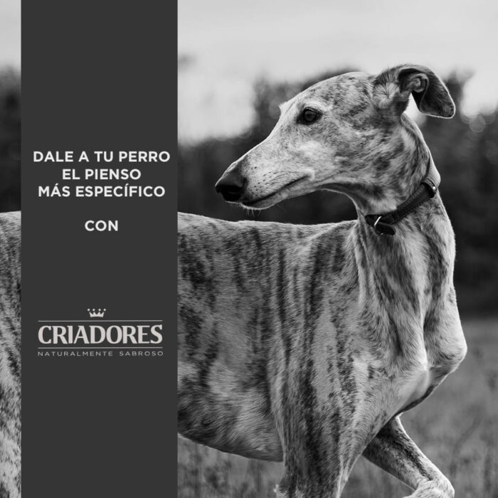 Criadores Adulto Frango e Arroz ração para cães porte médio - Image 5