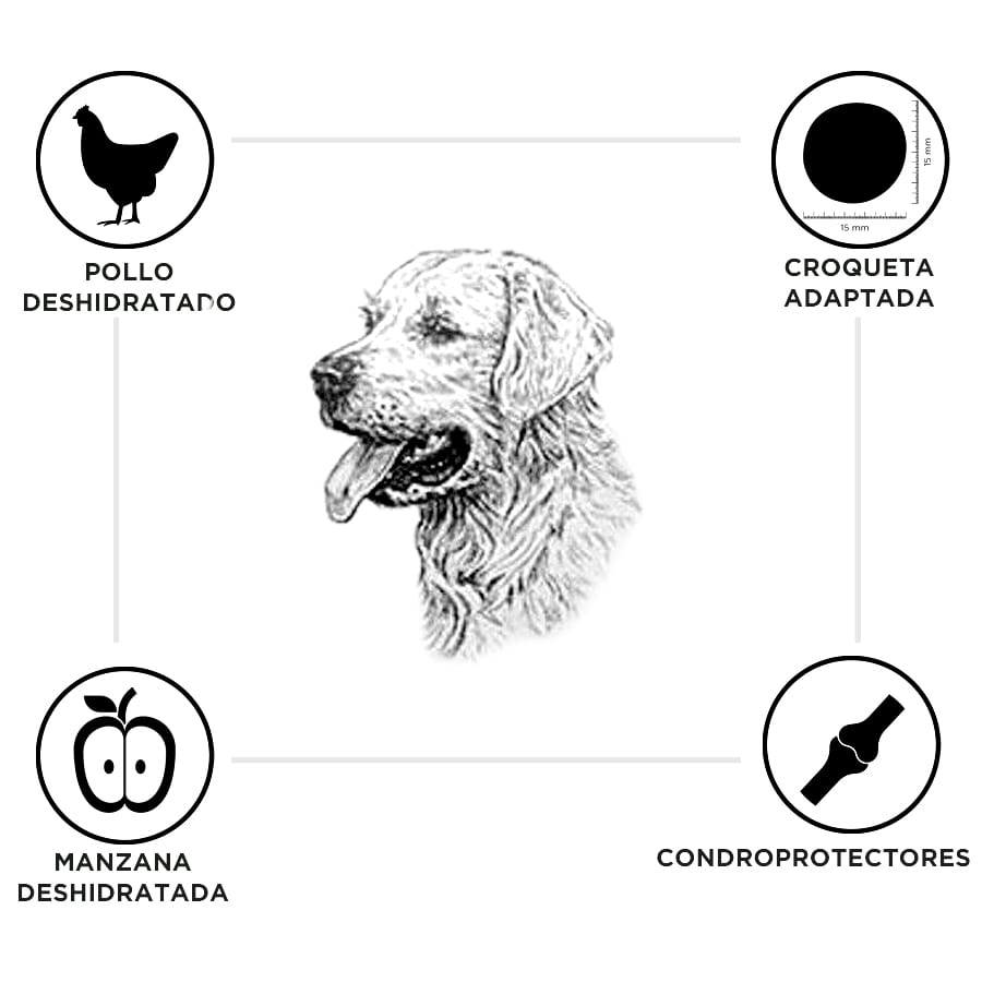 Criadores Senior Pollo y Arroz pienso para perros de razas medianas y grandes