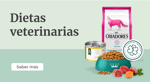 Criadores gama Veterinaria para gato