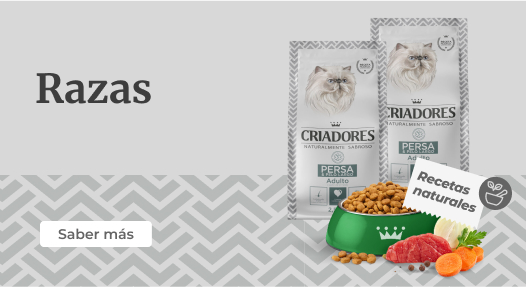 Criadores gama Razas para gato