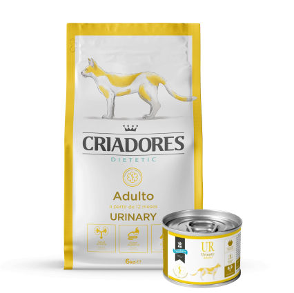 vet-urinario