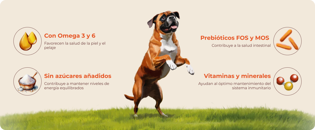 mono-grafico-desktop